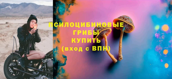 СК Беломорск