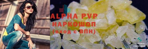 СК Беломорск