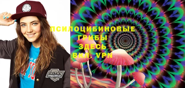гидра Белокуриха