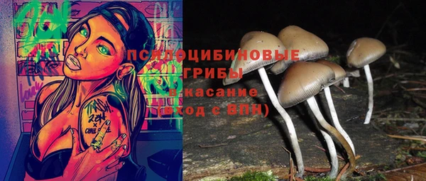 гидра Белокуриха