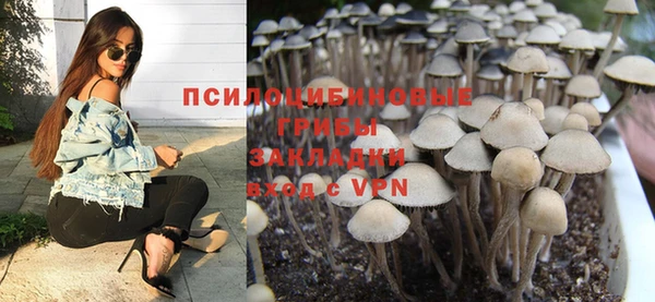 гидра Белокуриха