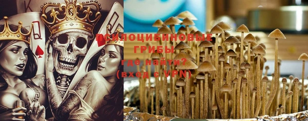 гидра Белокуриха