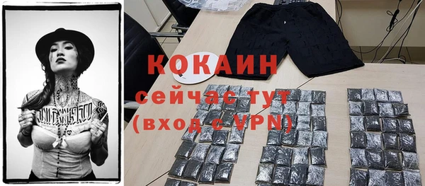 гидра Белокуриха