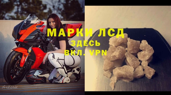 гидра Белокуриха