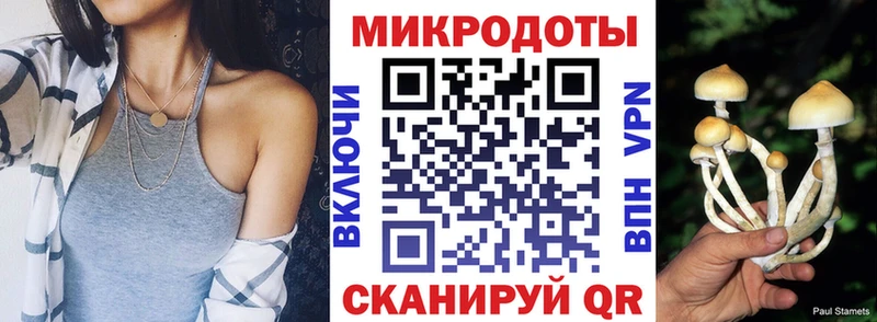 Галлюциногенные грибы MAGIC MUSHROOMS  Михайлов 